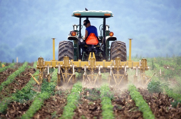 За шесть лет объем продукции сельского хозяйства КБР вырос на 65%