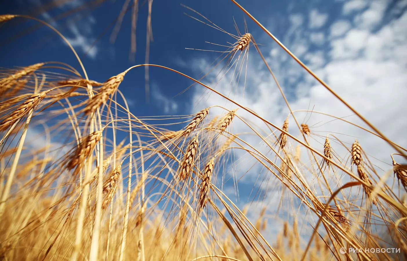 КБР вышла на высокий уровень самообеспечения продукцией АПК