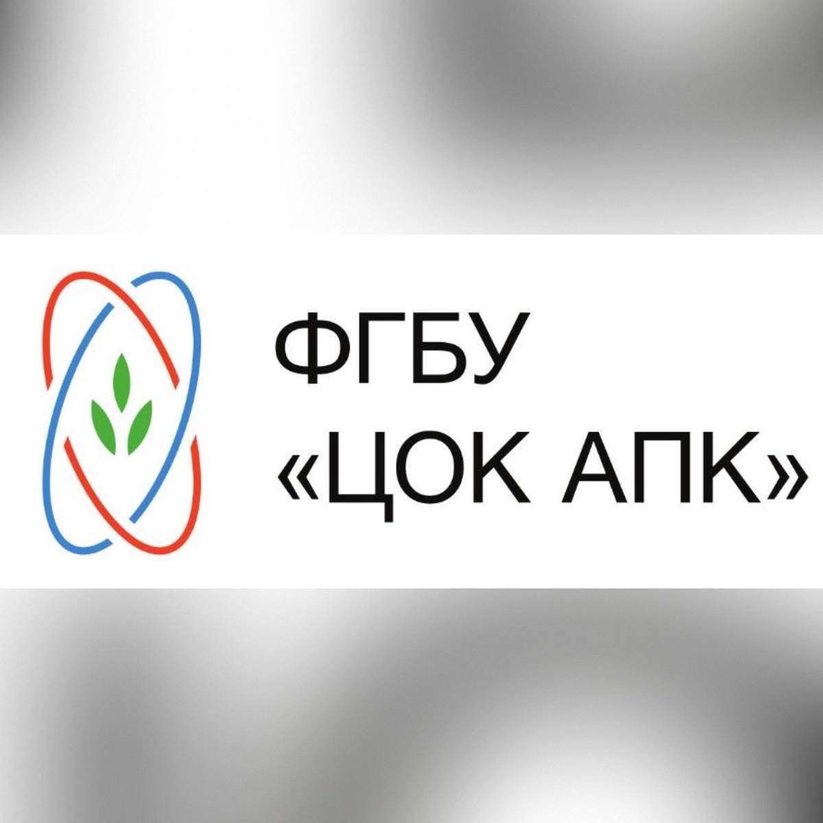 Как определить фальсифицированное масло?  