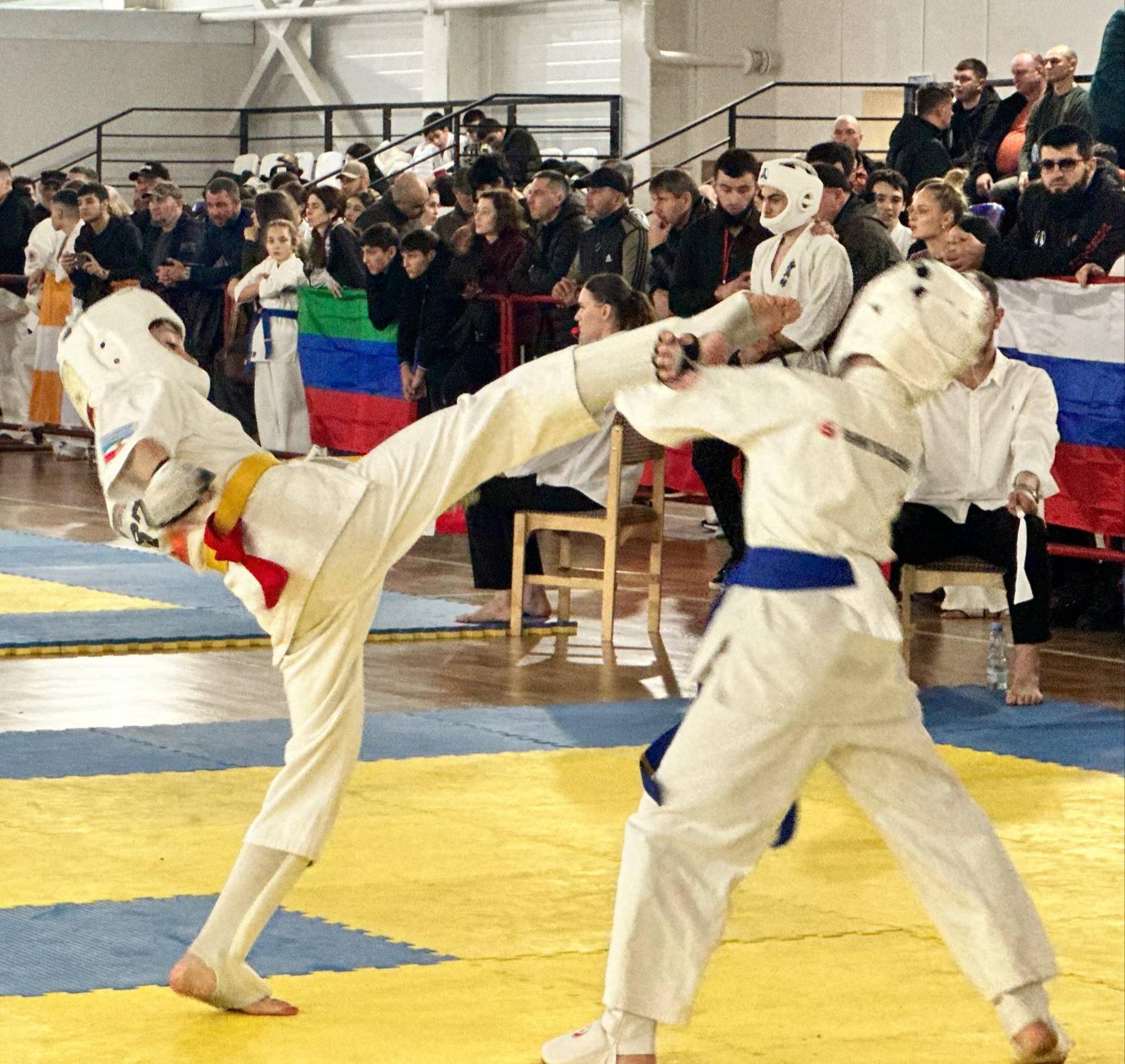 Киокусинкай – это жесткое искусство