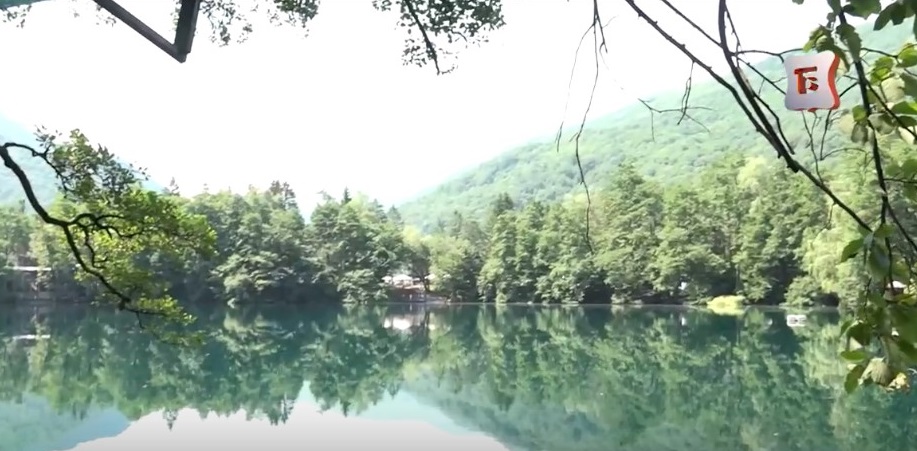 Эхо «Моей провинции» 