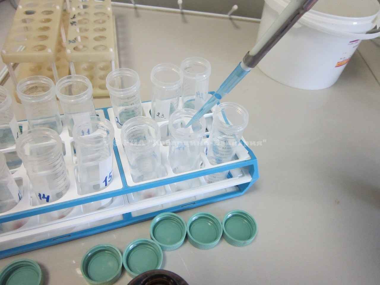 В Нальчике вспоминали легенду национального танца Соню Шериеву