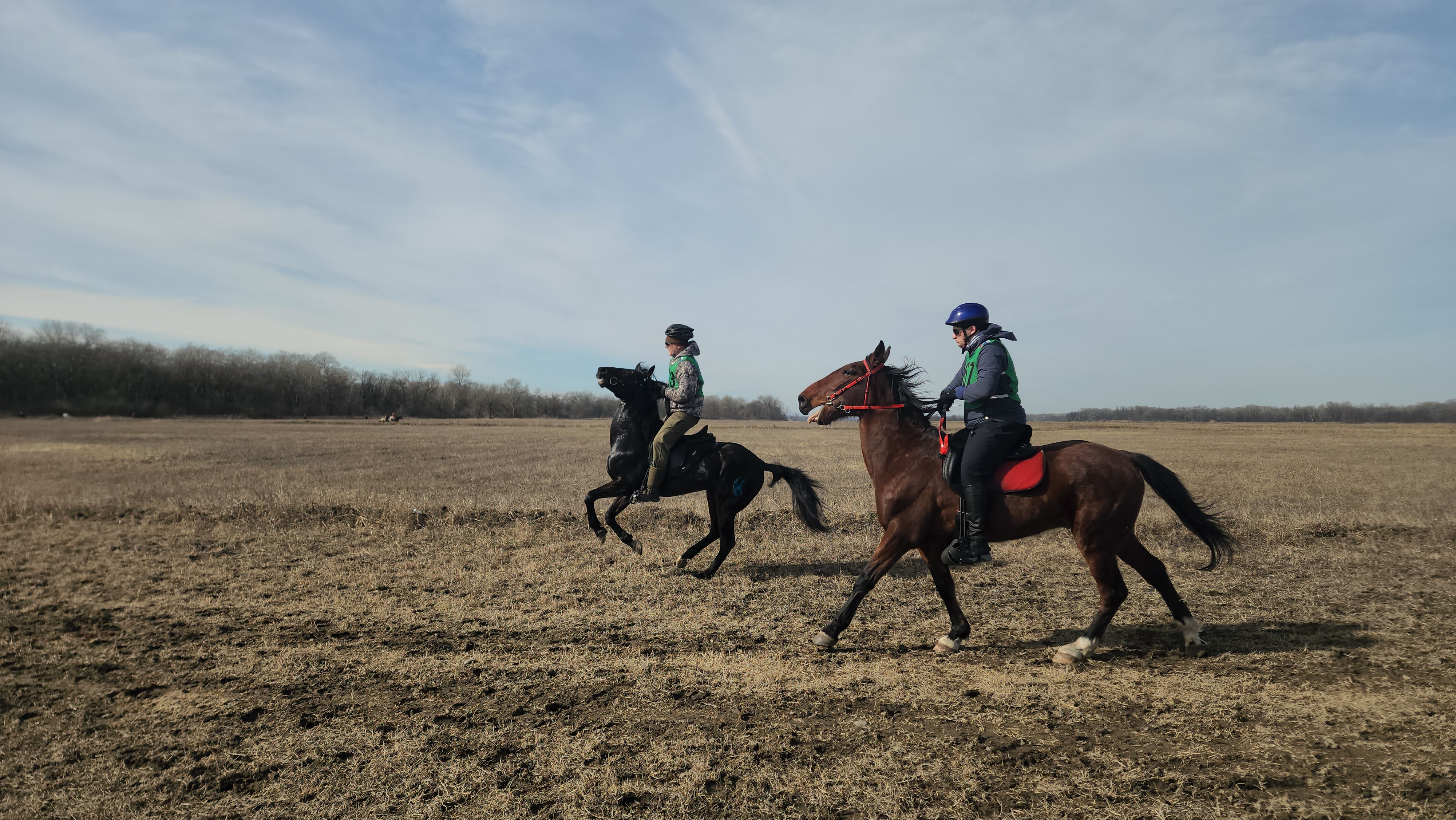 В Баксане провели Кубок КБР по конным пробегам