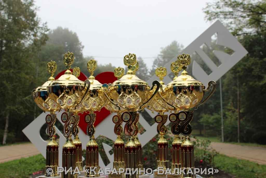 Прохладный празднует День города