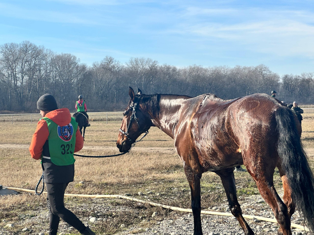 photo_5267234256029682588_w (1).jpeg