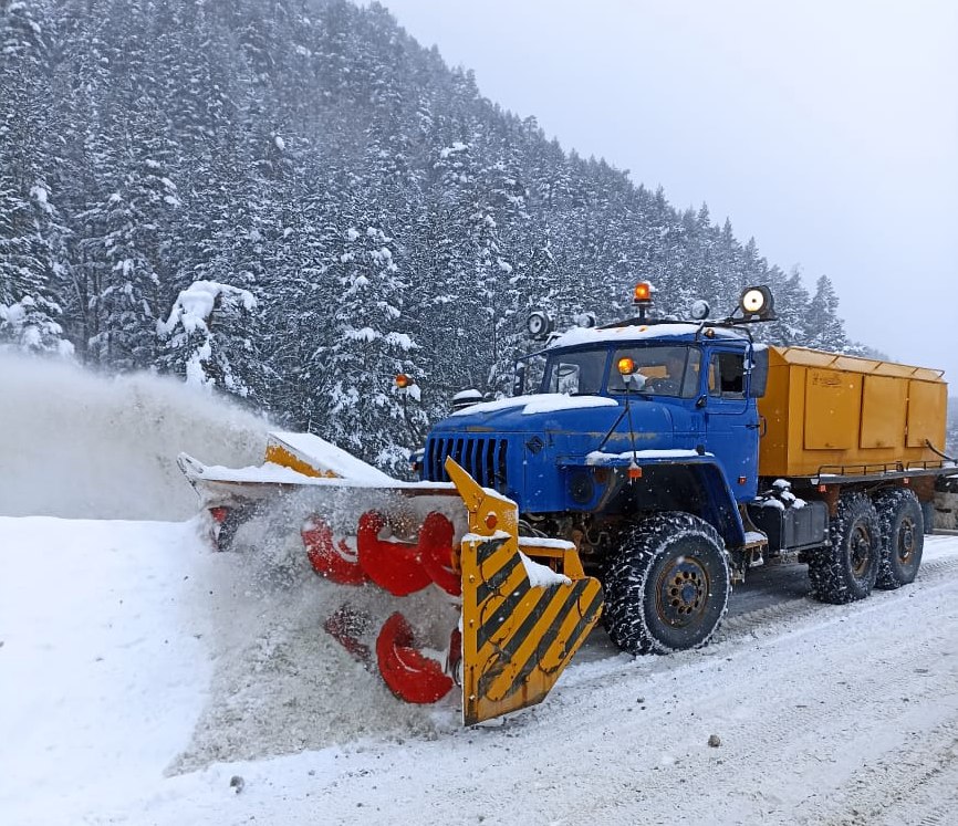 8267986e-2eaf-458a-a78e-1151b7cba1bd.jpeg 8267986e-2eaf-458a-a78e-1151b7cba1bd.jpeg