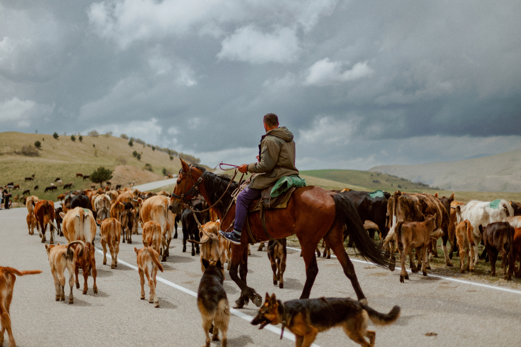 IMG_9854.png IMG_9854.png