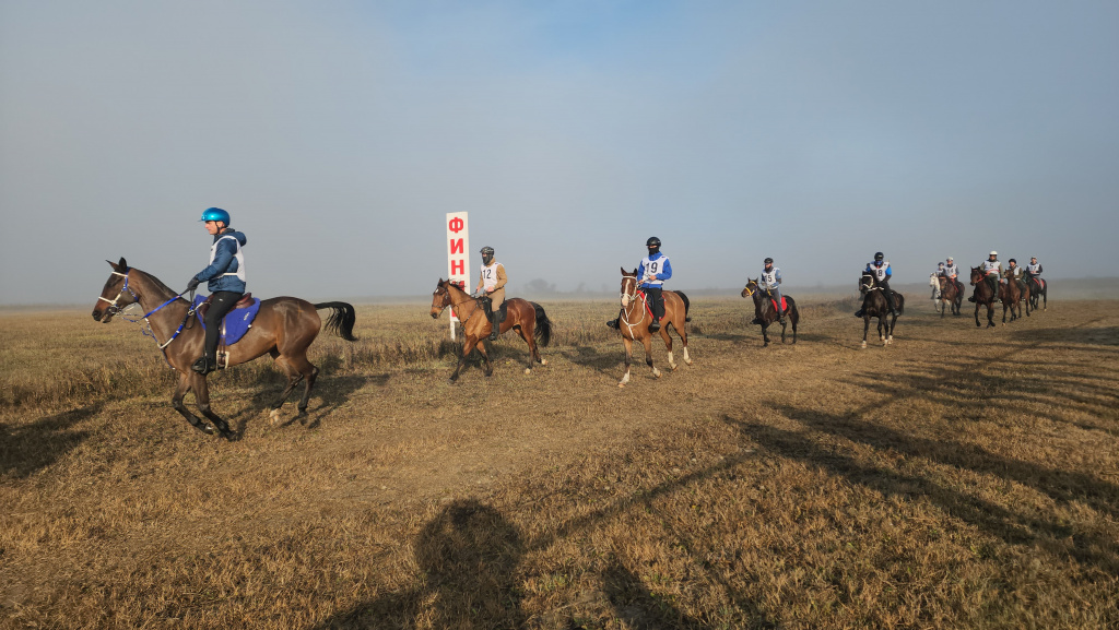 1001966956.jpeg 1001966956.jpeg