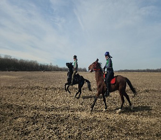 В Баксане провели Кубок КБР по конным пробегам