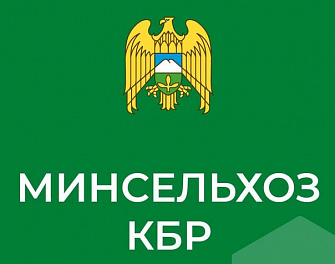 Первое место по производству сельхоз продукции