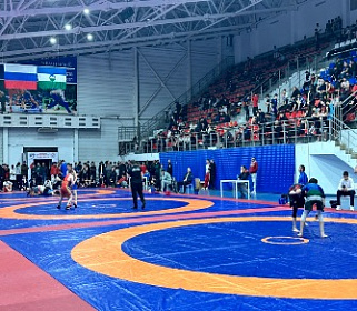 Фестиваль спортивной борьбы прошел в Нальчике
