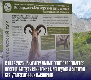 Для посещения экологических троп понадобится паспорт