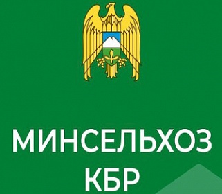 В Кабардино-Балкарии под озимый сев планируют отвести порядка 60 тысяч гектаров